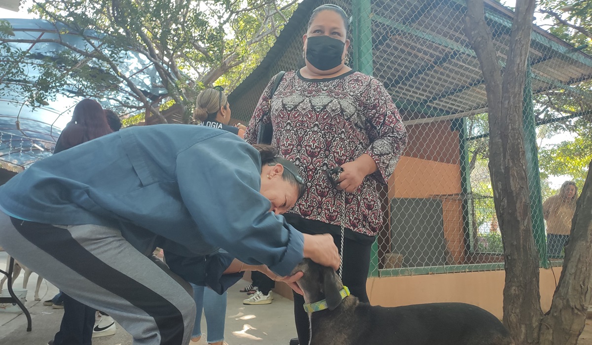 La perrita ‘Pinta’ encontró hogar en la segunda jornada de Huellitas del Bienestar en Mazatlán