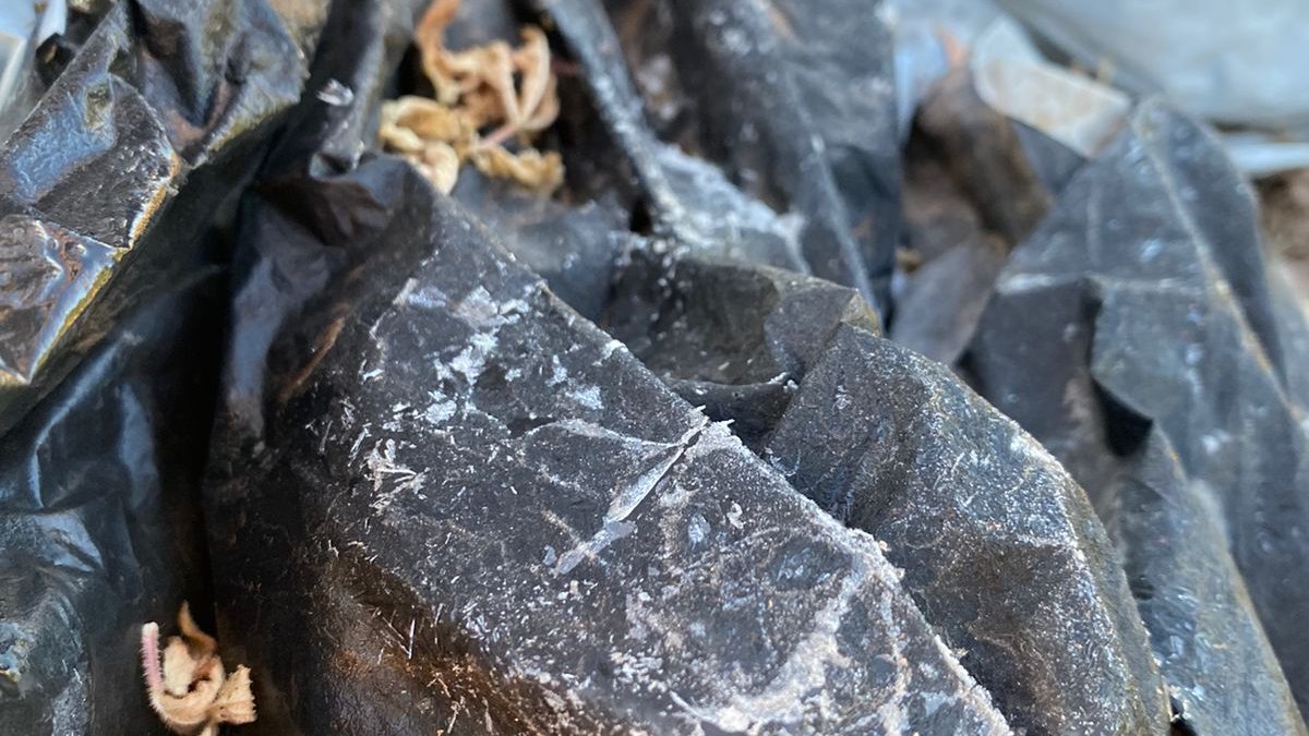 Frentes fríos son fenómenos naturales cíclicos ante los que hay que estar preparados: Productores