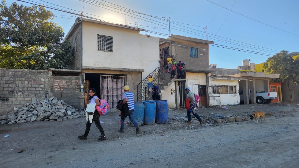 Agricultores deben garantizar vivienda digna a jornaleros: Asociación del Río Fuerte Sur