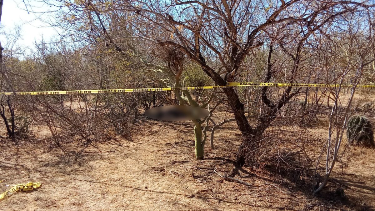 Autoridades identifican cuerpo calcinado en El Fuerte, Sinaloa