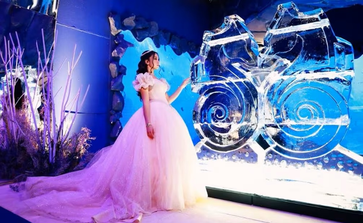 Videos: ¡Gastó como 65 millones de pesos! Quinceañera ‘tira la casa por la ventana’
