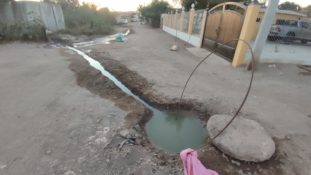 Habitantes de San Miguel Zapotitlán, Ahome, ya no aguantan las aguas negras y los malos olores