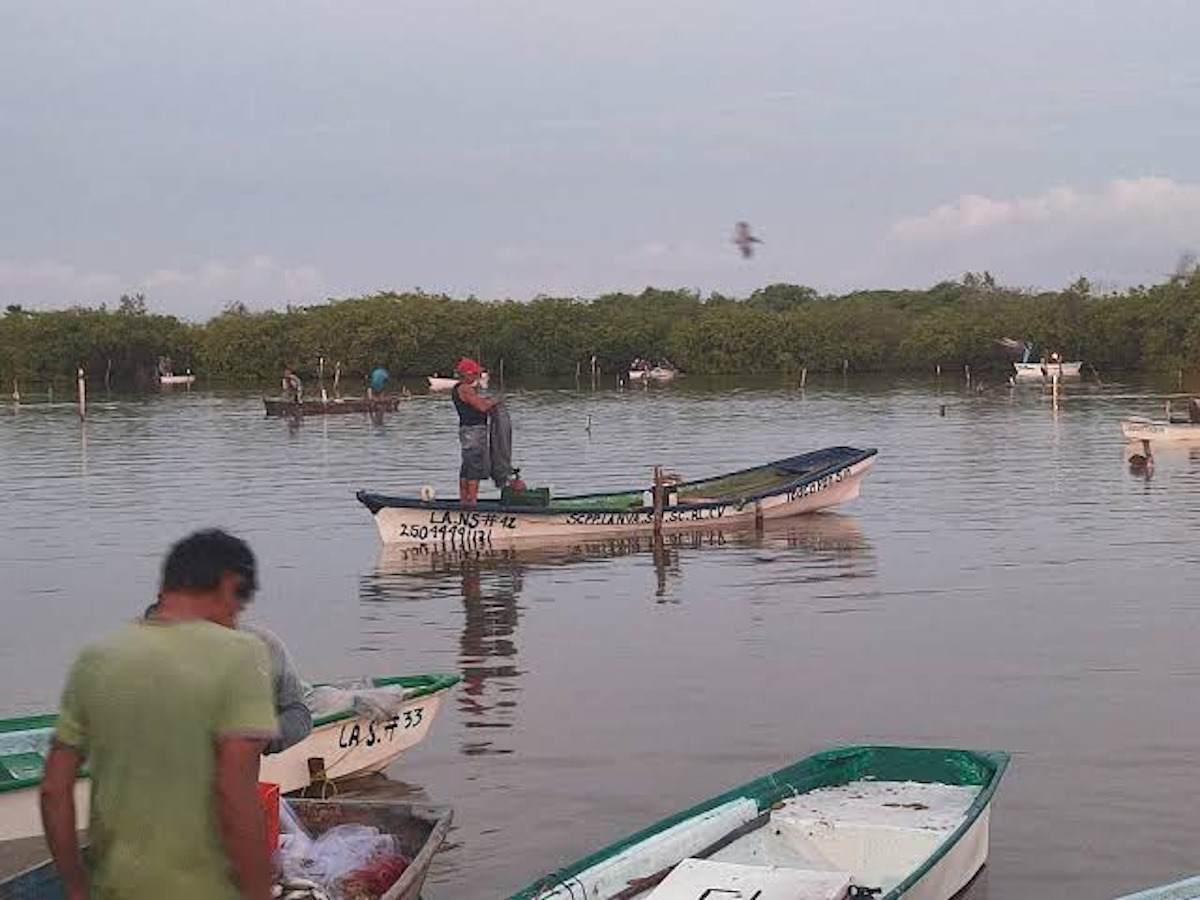 Este viernes se firmará convenio con Conapesca para recursos federales de Bienpesca, pagos podrían fluir la próxima semana: SPyA