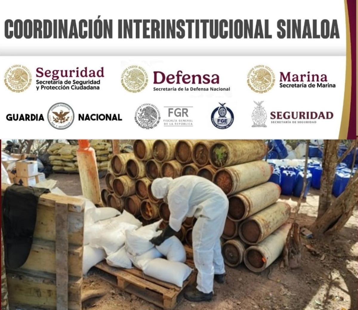 Continúan las acciones antidrogas: Desmantelan 20 narcolaboratorios en Culiacán y Cosalá