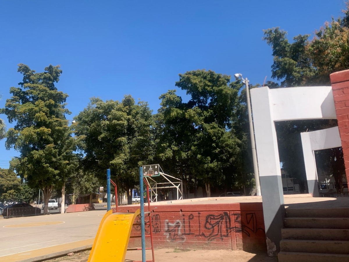 Evidencia vecina del IPIS que regidor no pudo ‘soltar’ mil 600 de gasolina para poda de árboles, en Guasave
