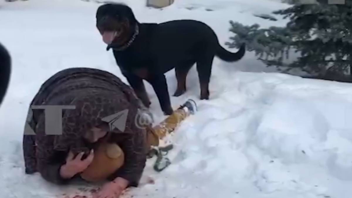 Impactante video muestra a madre salvando a su hijo de ataque de Rottweiler