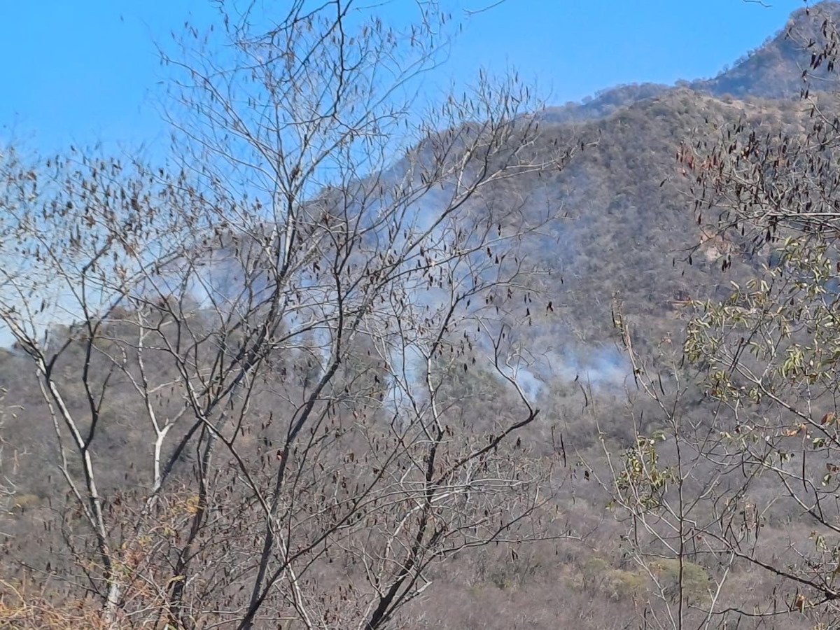 Ya fue sofocado el incendio en la sierra de Imala y Sanalona, Culiacán: Protección Civil
