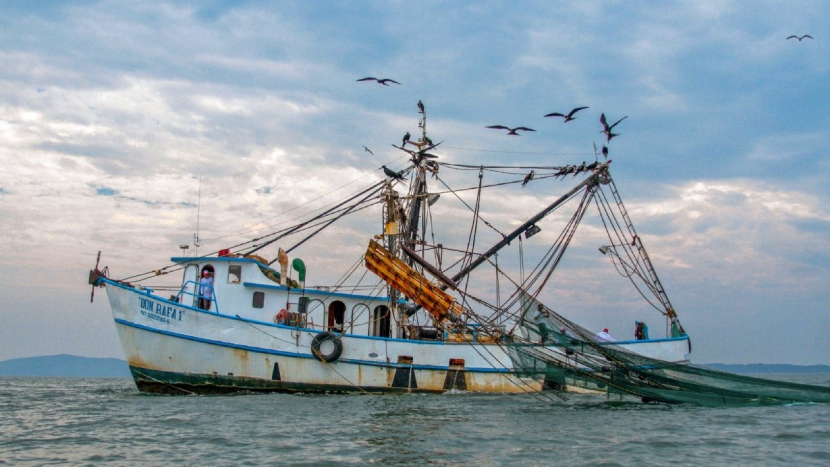 Sector alimenticio y pesquero de México pueden mejorar con impulso al consumo de pescados y mariscos locales: CANAINPESCA
