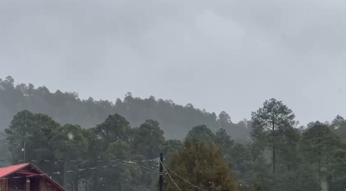 VIDEO| ¡Una belleza de paisaje! Cae aguanieve en Santa Gertrudis, Badiraguato