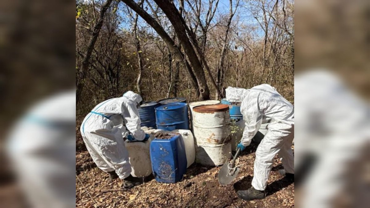 De 193 mdp el ‘golpe’ al crimen organizado tras aseguramiento de narcolaboratorios en Cosalá y Culiacán