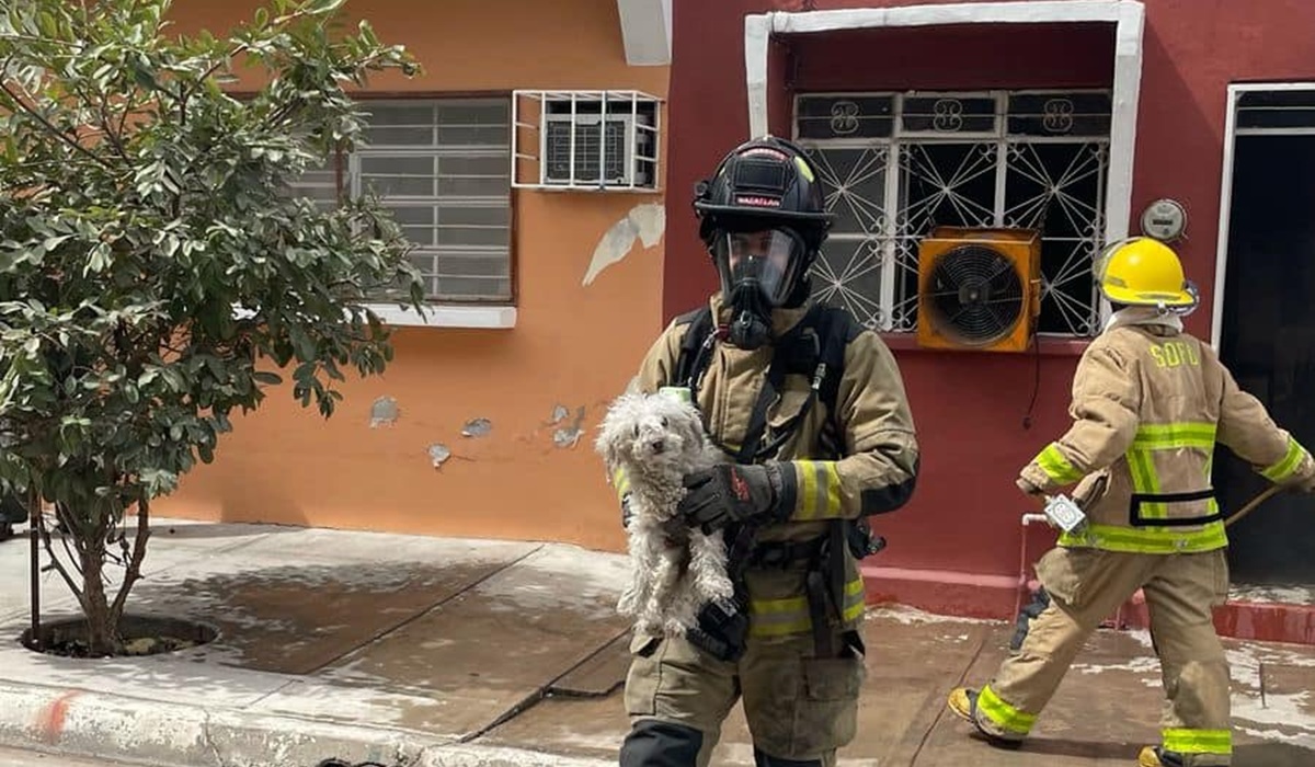 Rescatan a mascota de incendio en vivienda de la colonia Juárez, en Mazatlán