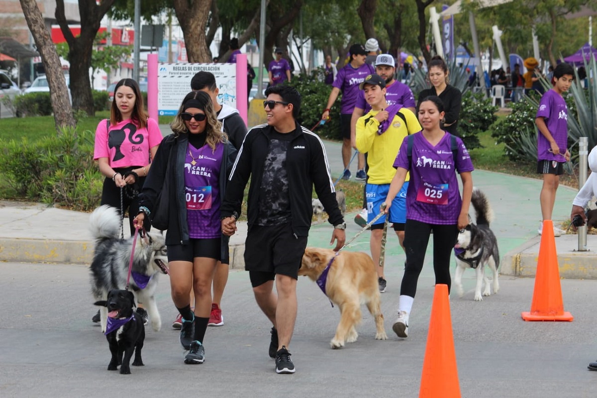 En Mazatlán no solo vamos a carnavalear, asiste a la carrera más perrona de Sinaloa: La Canrrera 2025