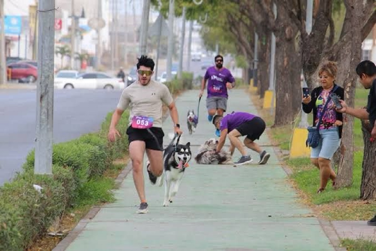 Este domingo es la carrera más perruna de Sinaloa, en Mazatlán ya estamos listos ¿Ya tienes tu kit? Apresúrate a adquirirlo