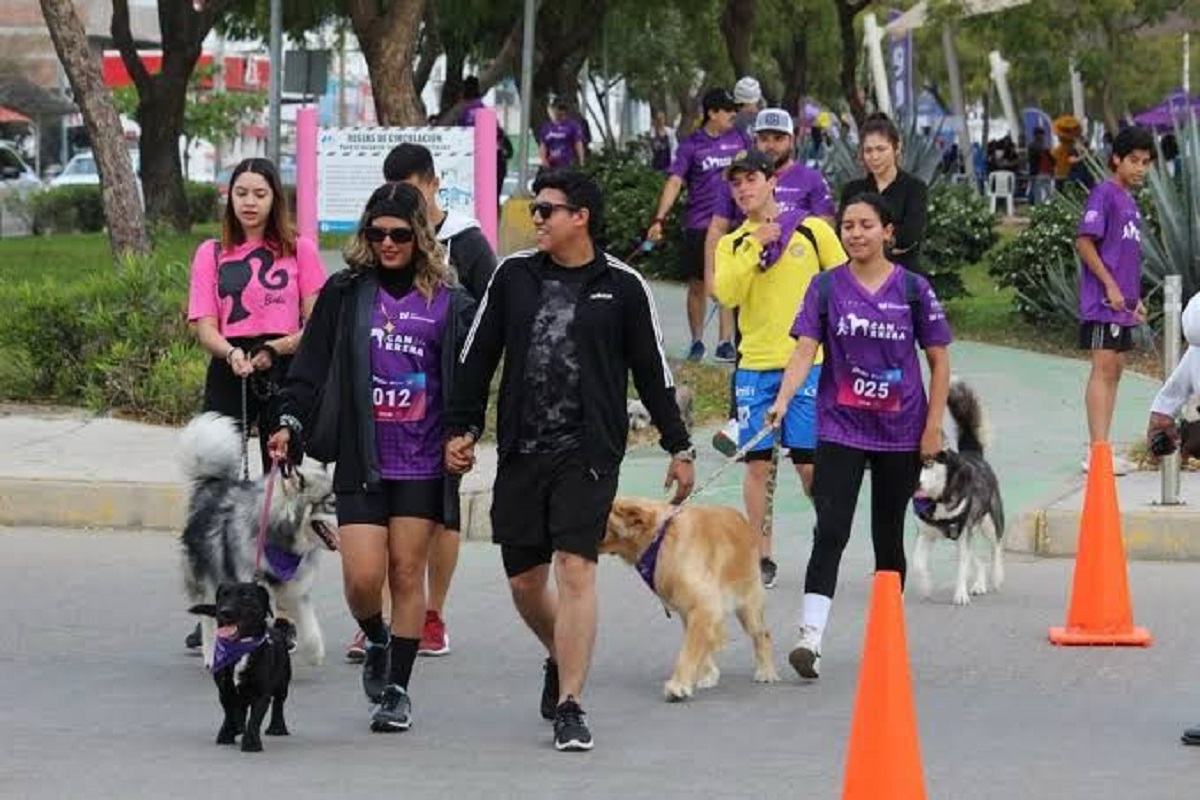 ¡Gracias Mazatlán! Contigo pudimos echarle una patita a los lomitos en esta Canrrera 2025; nos vemos en el 2026