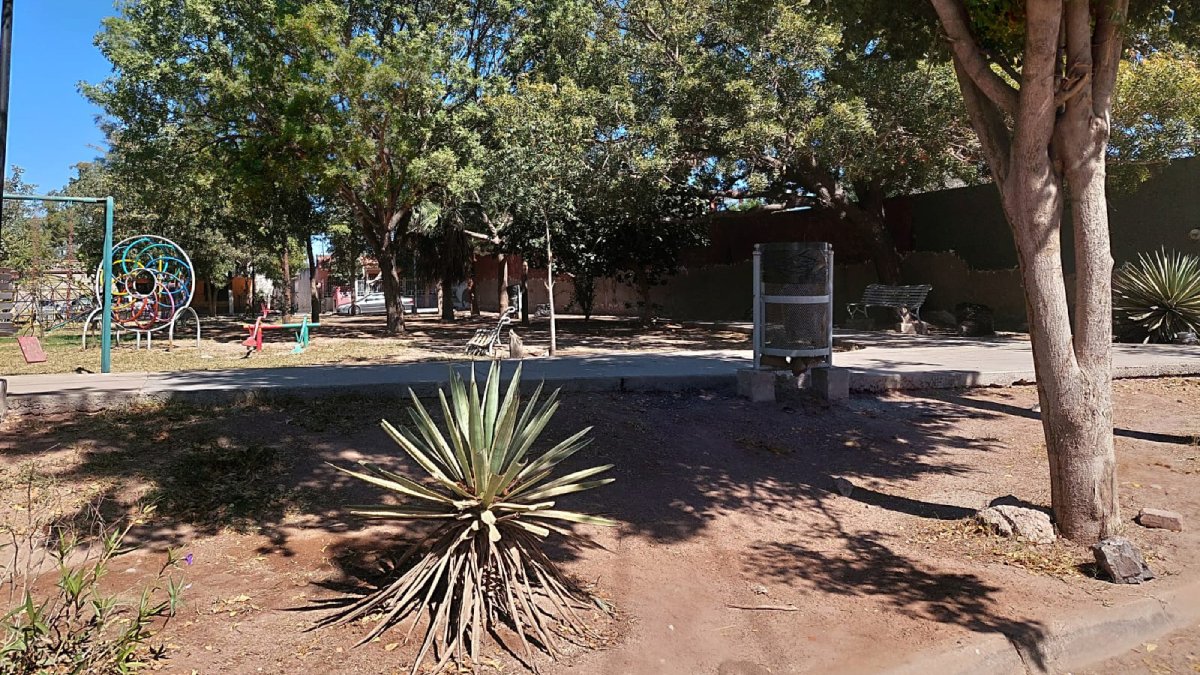 El ‘parque perrón’ será autosustentable con excelentes instalaciones: Servicios Públicos en Ahome