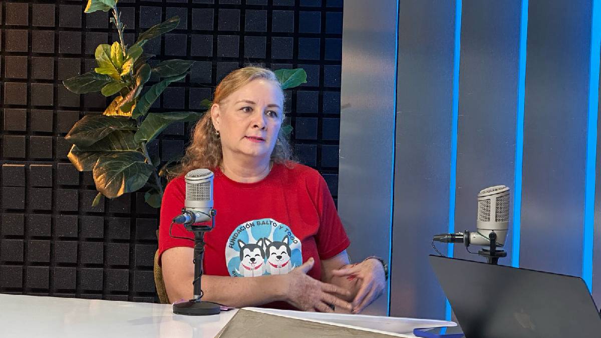 Apoya a más de 200 perritos de Culiacán; Fundación Balto y Togo invita a la Canrrera 2025 🐾🐕