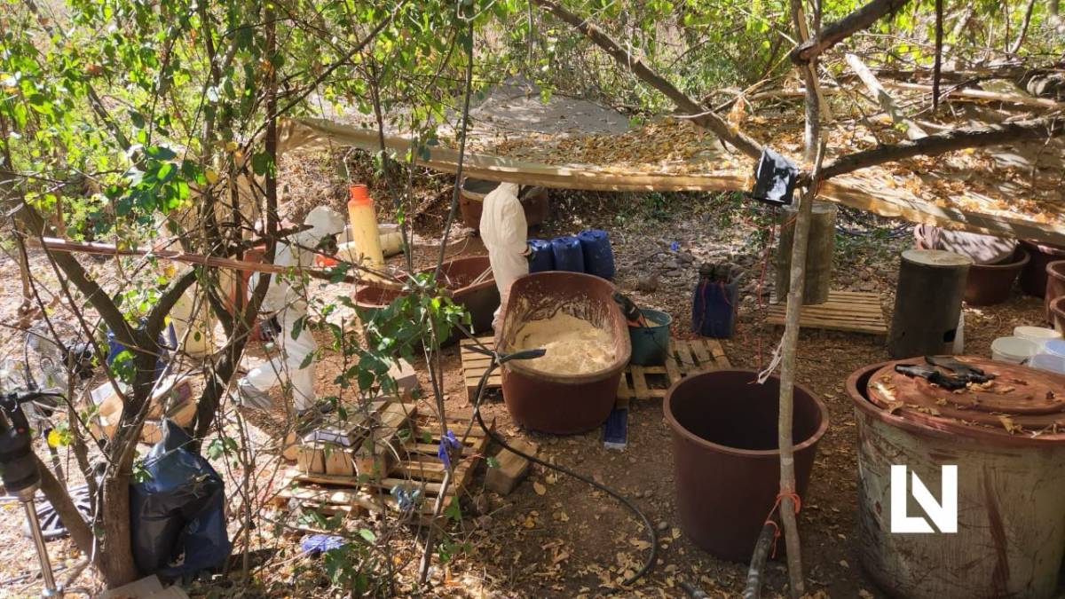 “Es el más grande de la administración de Sheinbaum”: SSPC de aseguramiento de narcolaboratorios en Sinaloa