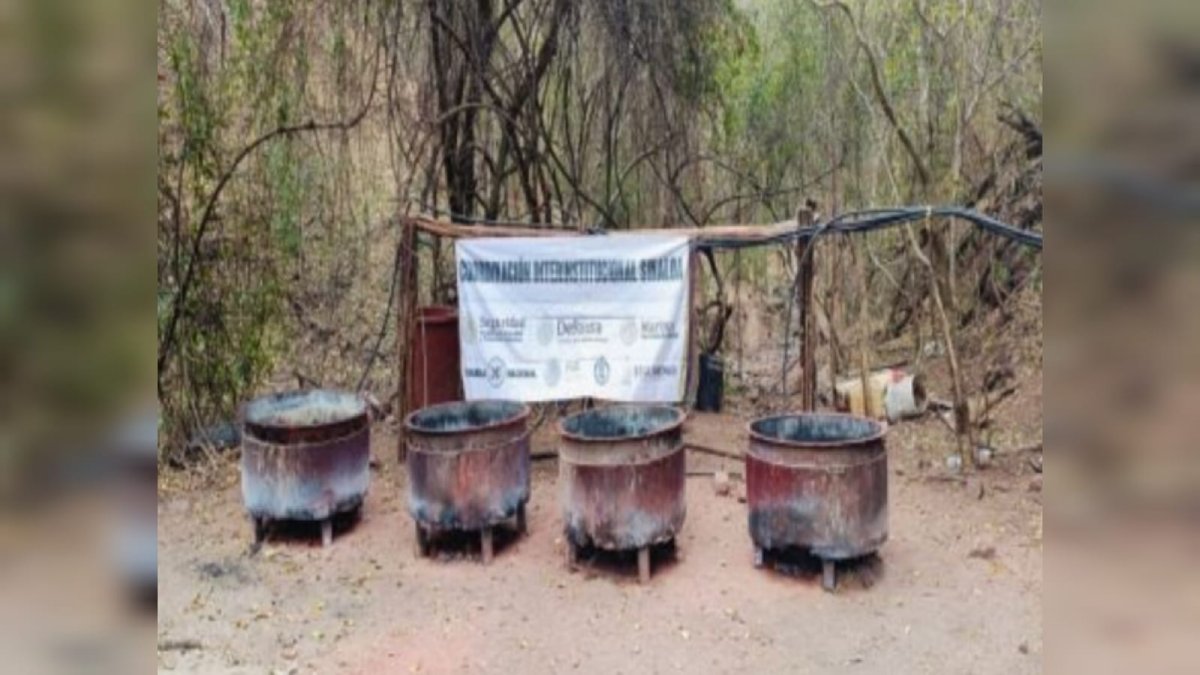 Golpes millonarios con destrucción de narcolaboratorios en Sinaloa, reporta el gobierno federal
