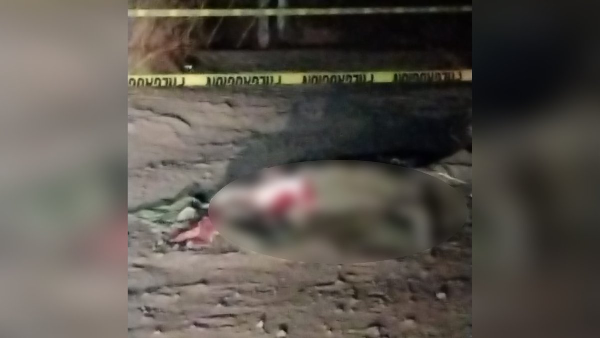 Confirma FGE triple homicidio en San Ignacio; los cuerpos estaban a la orilla de la carretera