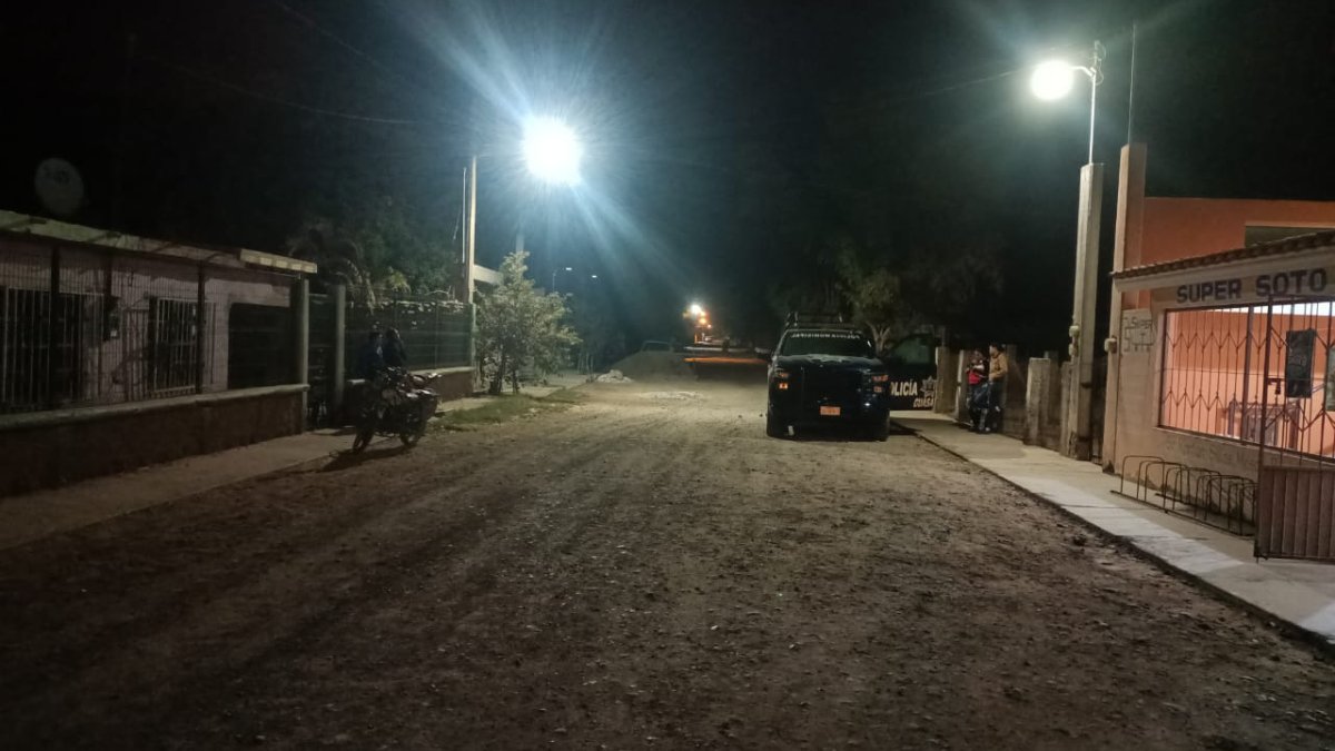 Hombre mató a un perro por comerse un gallo, en Guasave