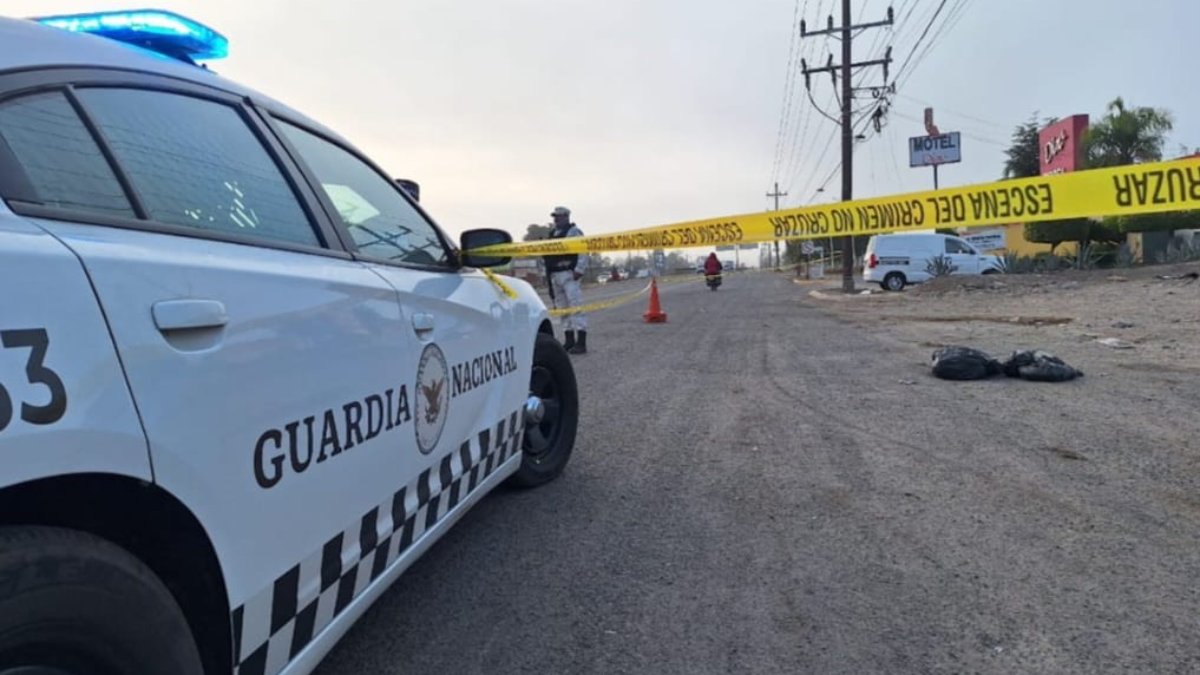 Era menor de edad el desmembrado y embolsado en el Campo El Diez de Culiacán