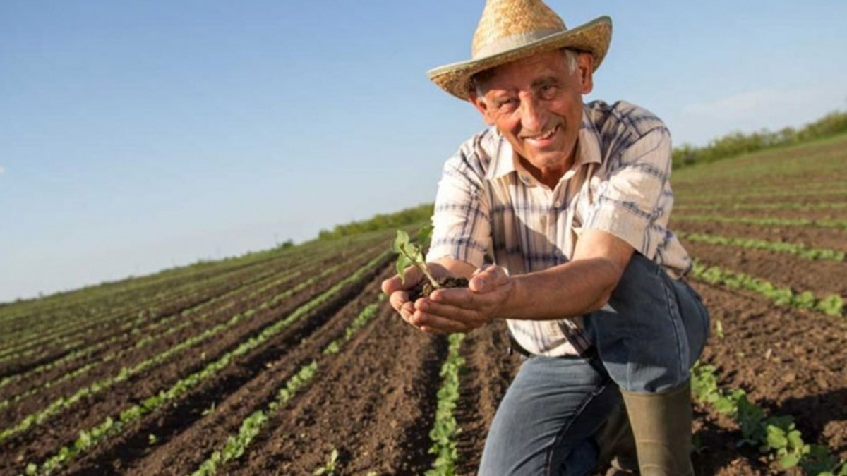 Día del Ingeniero Agrónomo: Rinde homenaje a los cuidadores del campo con estas frases