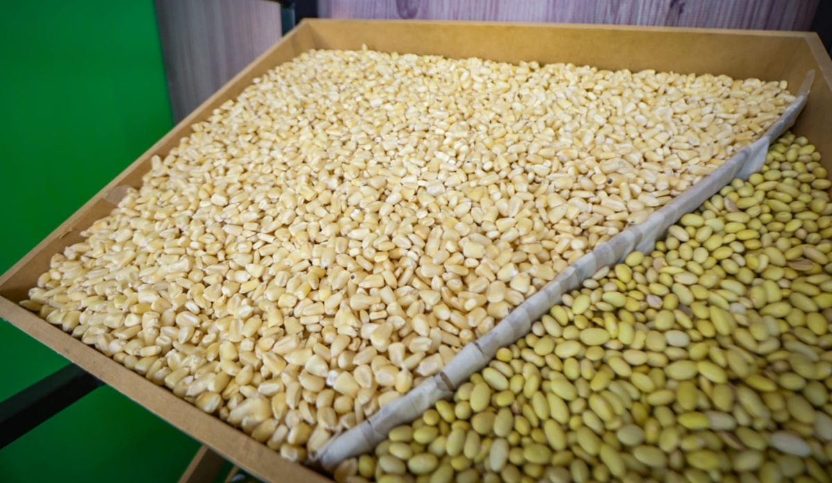 Productores sinaloenses exigen inclusión en esquemas de agricultura competitiva