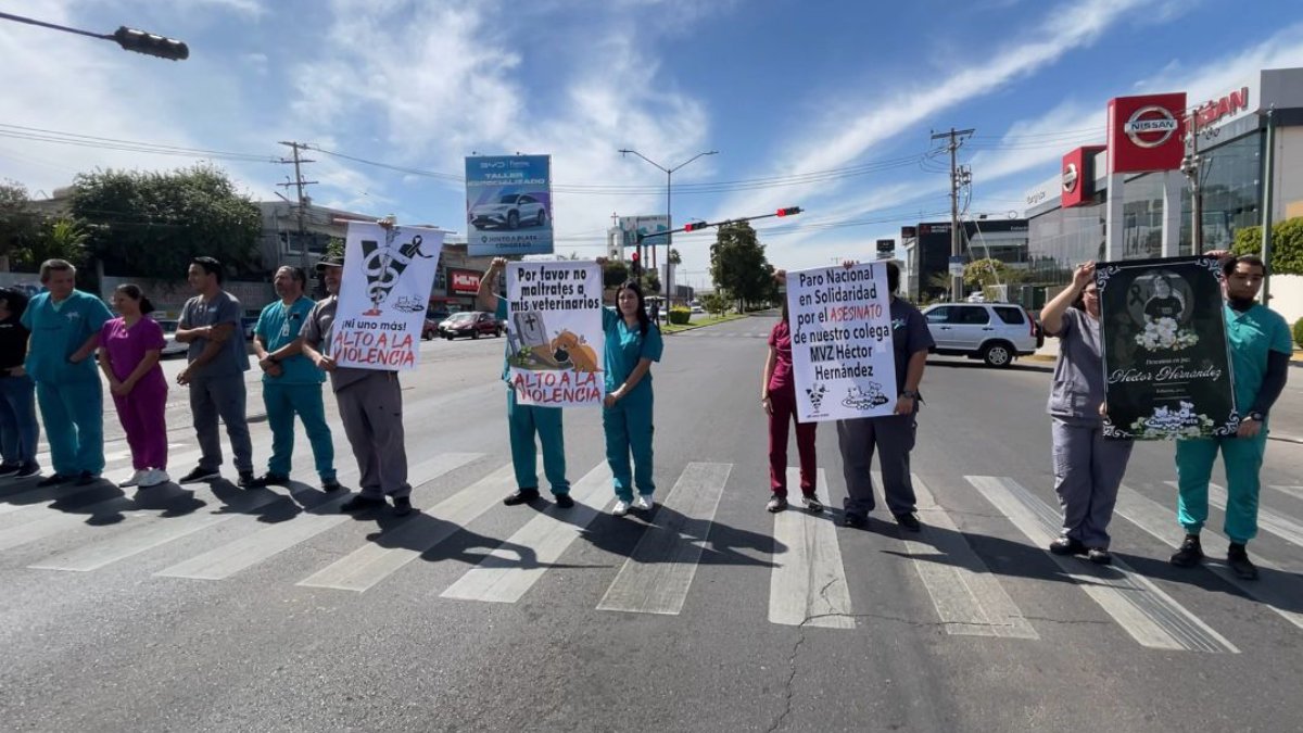 Veterinarios en Culiacán se suman al paro nacional tras asesinato de su colega Héctor Hernández