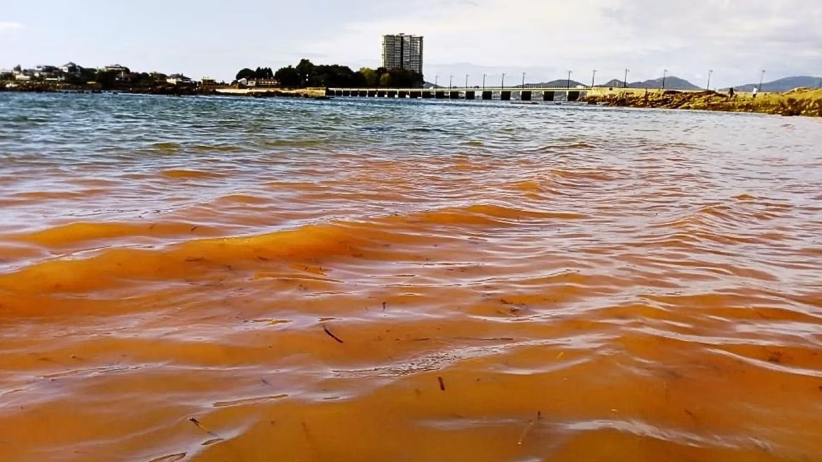 Alerta Coepriss de toxinas por marea roja en La Lechuguilla, Teacapán y Celestino Gazca