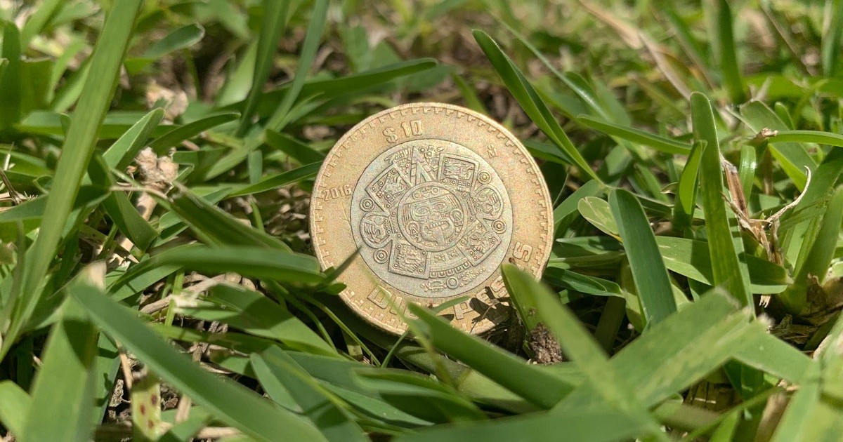 ¿A dónde se va el dinero? Entendiendo lo mucho que afectan los ‘gastos hormiga’ y 5 tips para ‘fumigarlos’
