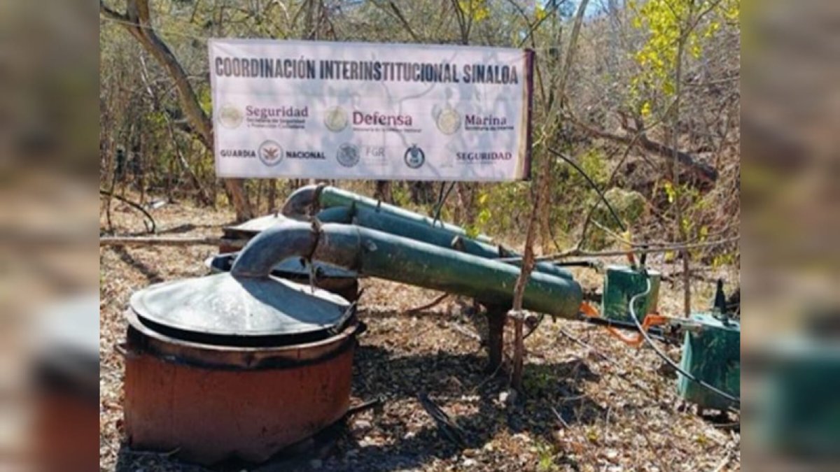 Desmantelan 3 narcolaboratorios y 9 campamentos en Culiacán y Cosalá