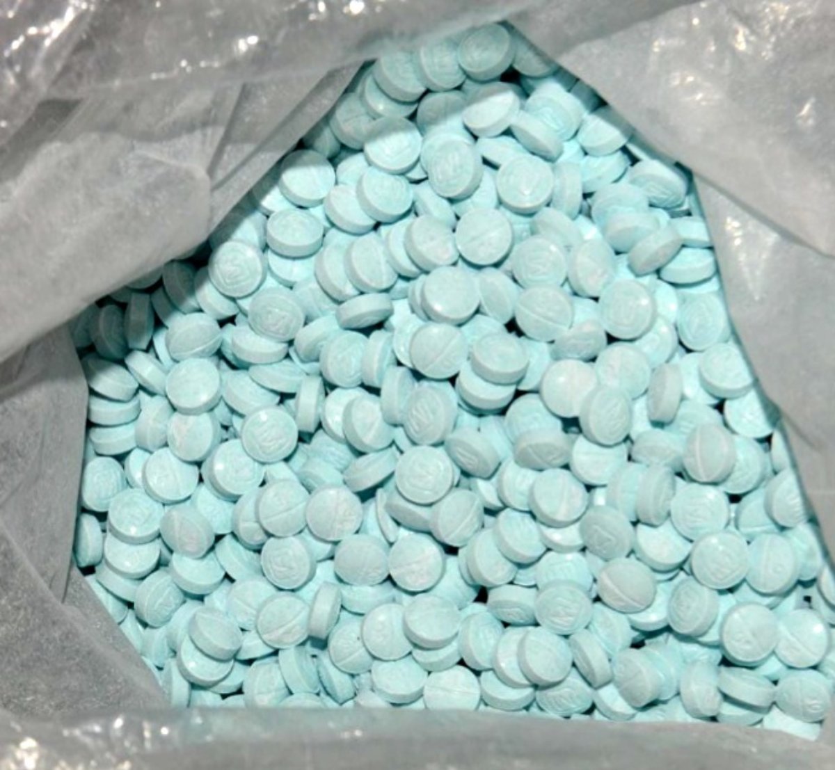 CBP decomisa 9 mil pastillas de fentanilo en Nogales, Sonora