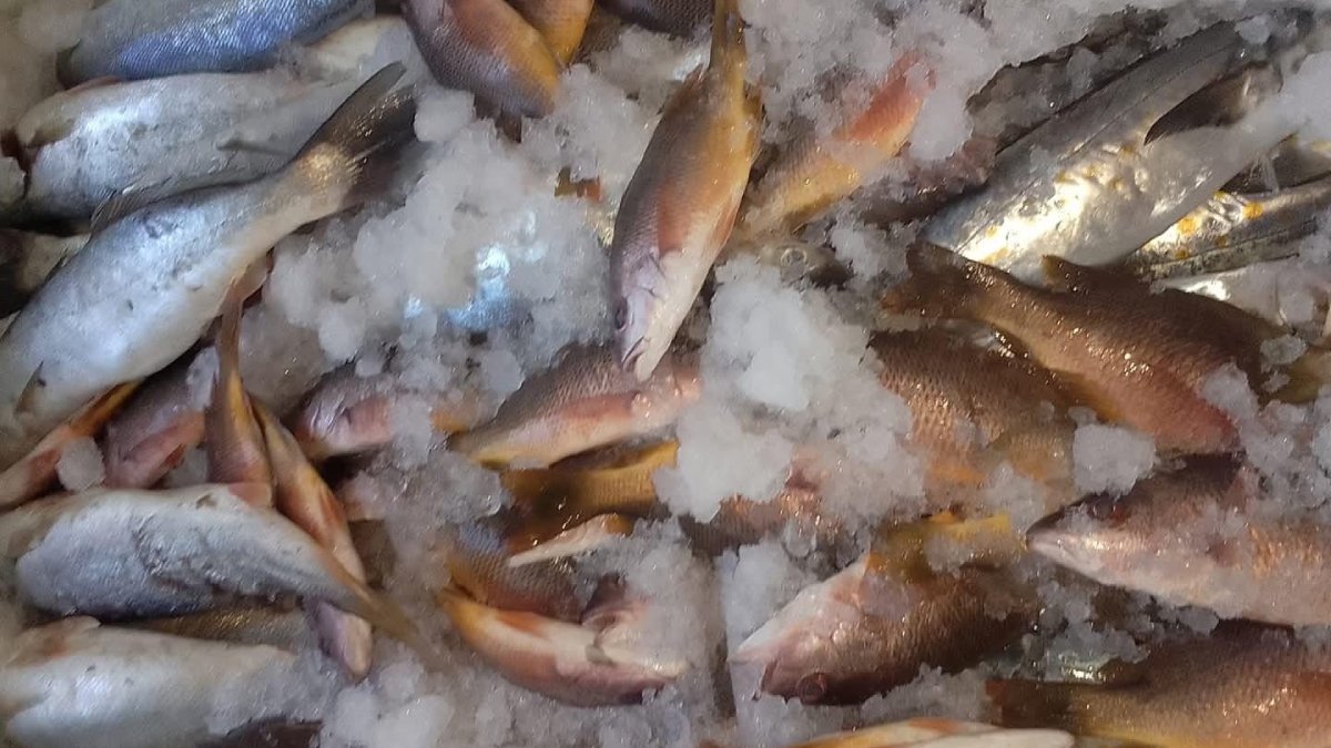 Este lunes arranca Coepriss con operativo de Cuaresma en pescaderías y vía pública