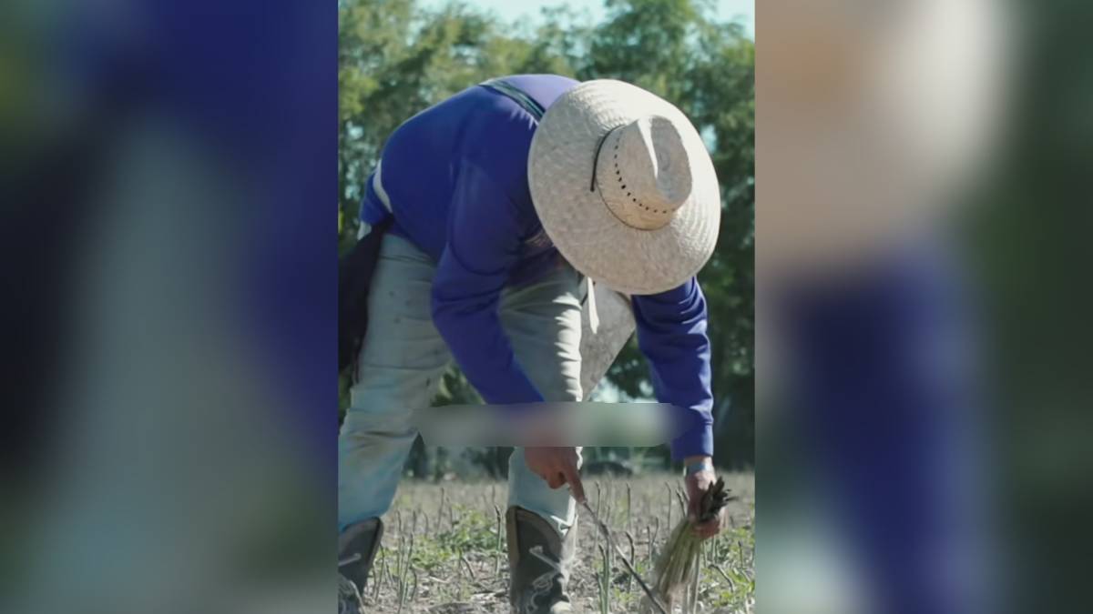 Empresario agrícola Shay Myers critica leyes de deportación de Trump: ‘Los de aquí no quieren hacer el trabajo’