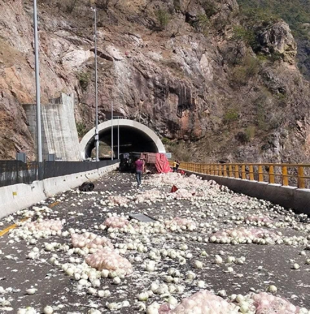 ¡Ni llorar es bueno! Vuelca tráiler de cebollas en la carretera Mazatlán- Durango