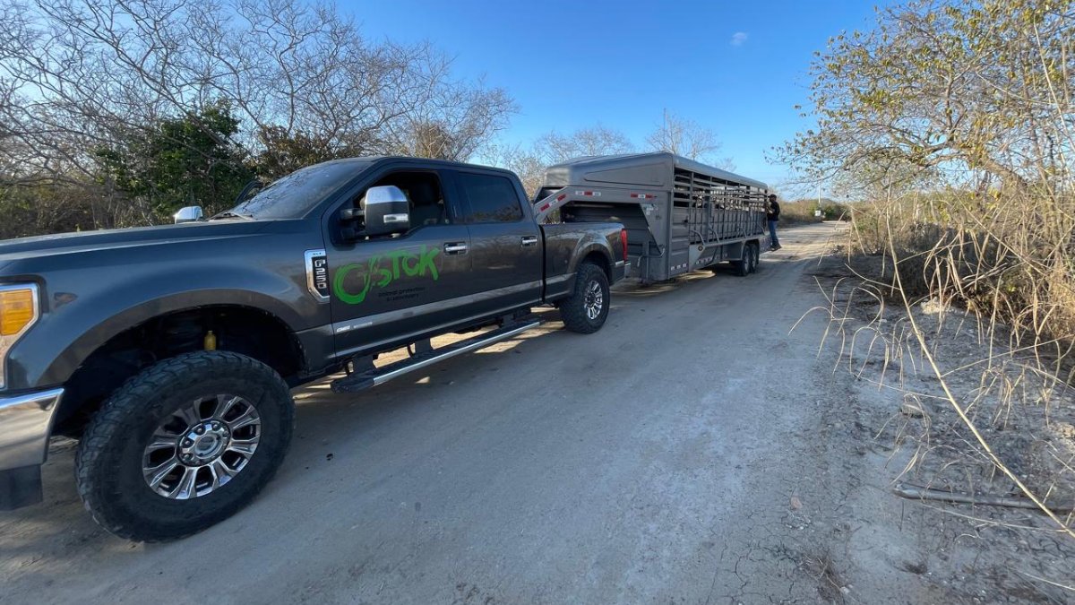 Ya hay un operativo para dar con la camioneta de Ostok Sanctuary: Vocería