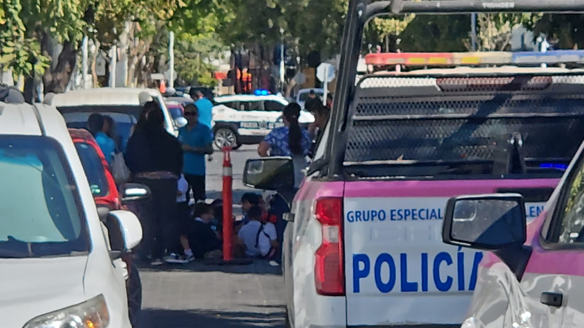 Abejas atacan a más de 20 niños y niñas en secundaria del Centro de Culiacán