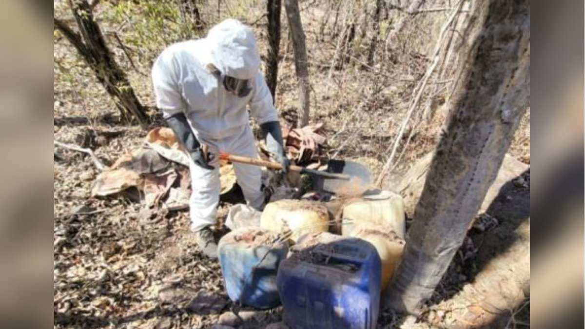 Ejército asegura y desmantela 12 laboratorios clandestinos en Culiacán, Elota y Cosalá