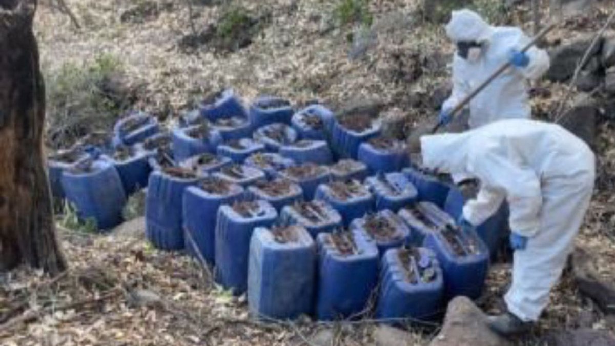 En Culiacán y Cosalá, aseguran 11 narcolaboratorios más