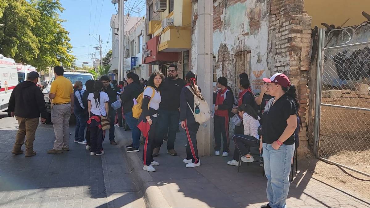 ‘Vimos que había muchas abejas alborotadas y ahí fue donde todas nos alteramos’: Alumna  atacada en secundaria