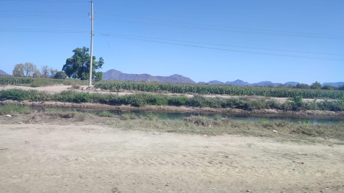 ¡Les cortan el chorrito! Suspenderán permisos a pipas y los módulos para extraer agua de los canales en Ahome