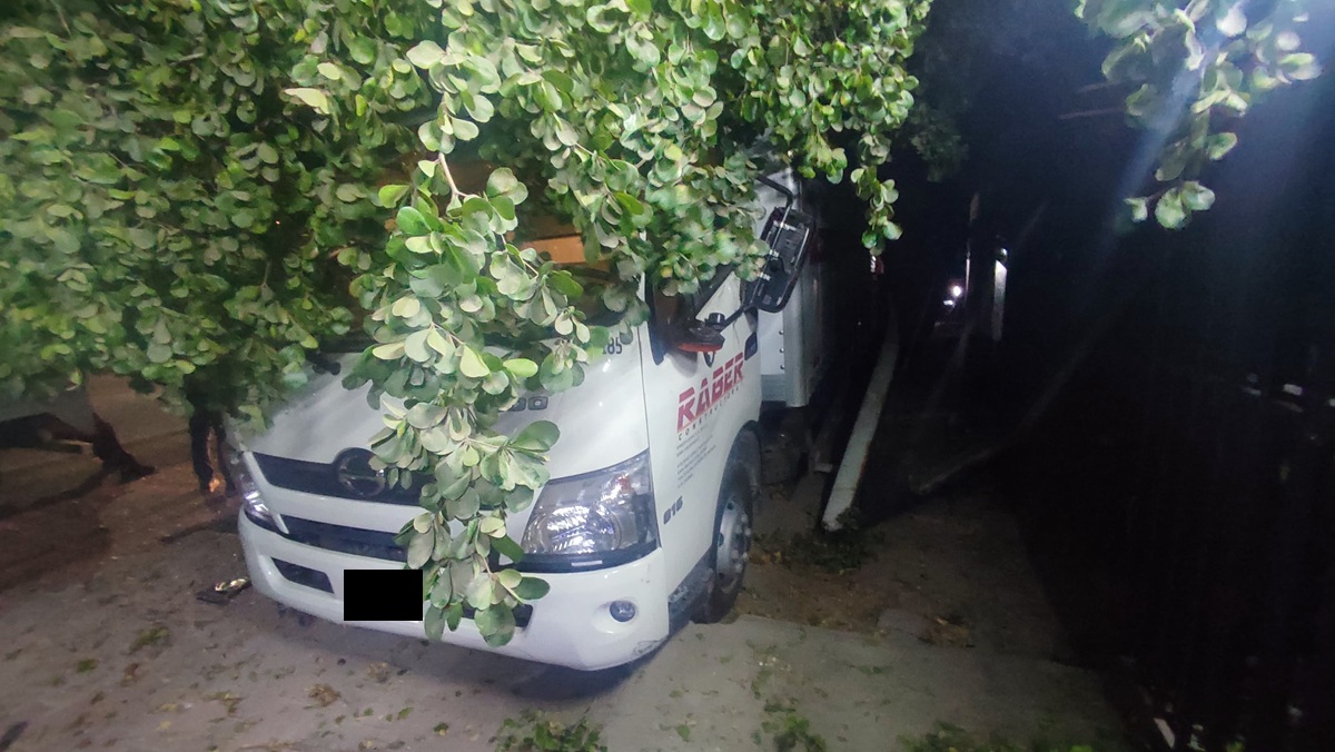 Operador de un camión se impacta contra una vivienda y un árbol en Los Mochis