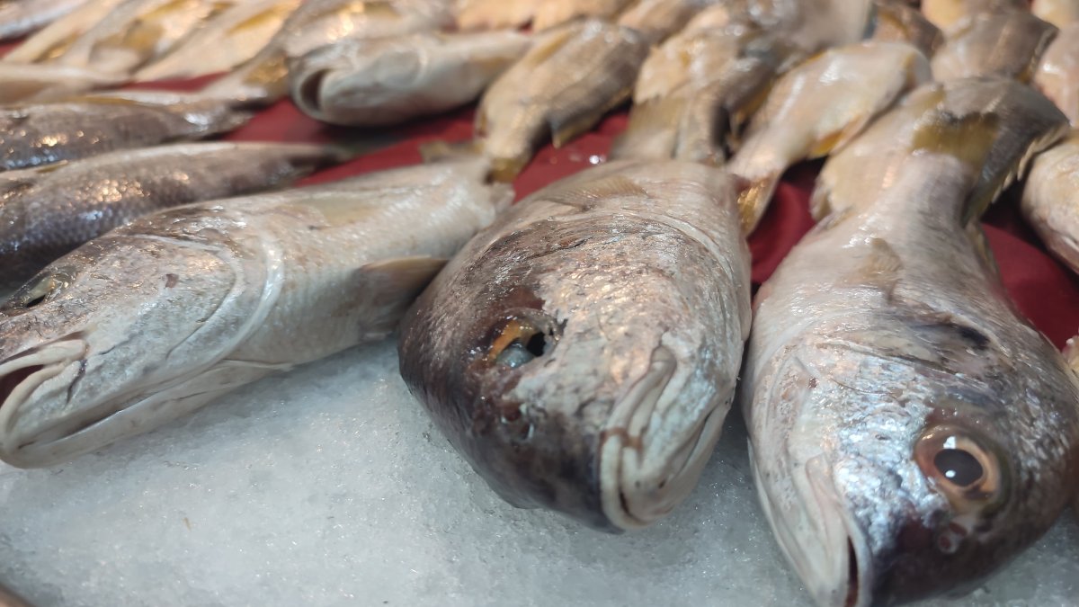 Llegó la Cuaresma y llega la Coepriss a Mazatlán para iniciar la verificación de pescados y mariscos