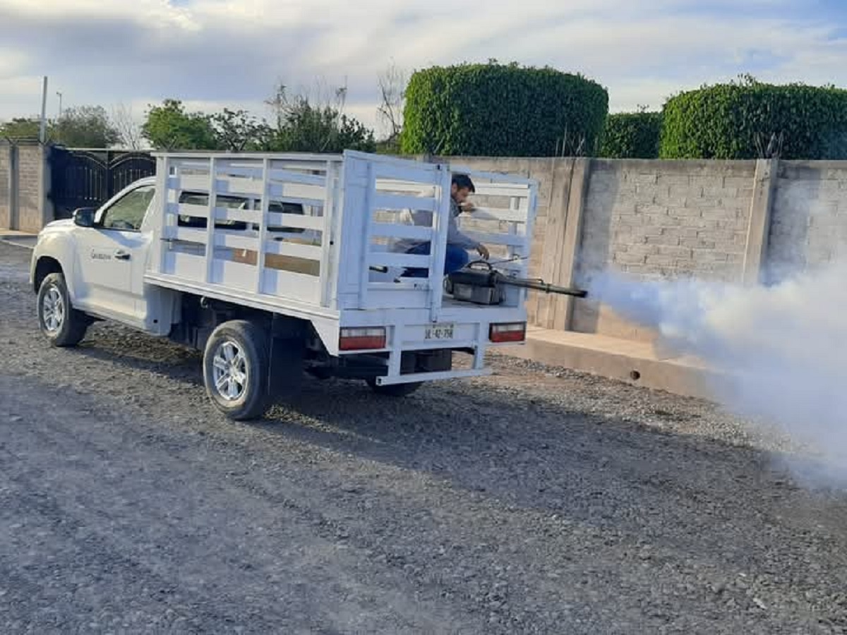 Suma Guasave, Juan José Ríos y Sinaloa 30 casos probables de dengue, en lo que va del año
