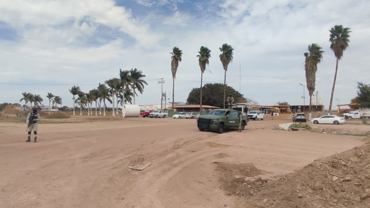 Ejército, GN y FGR catean negocio de venta de combustible y ganado en Ahome