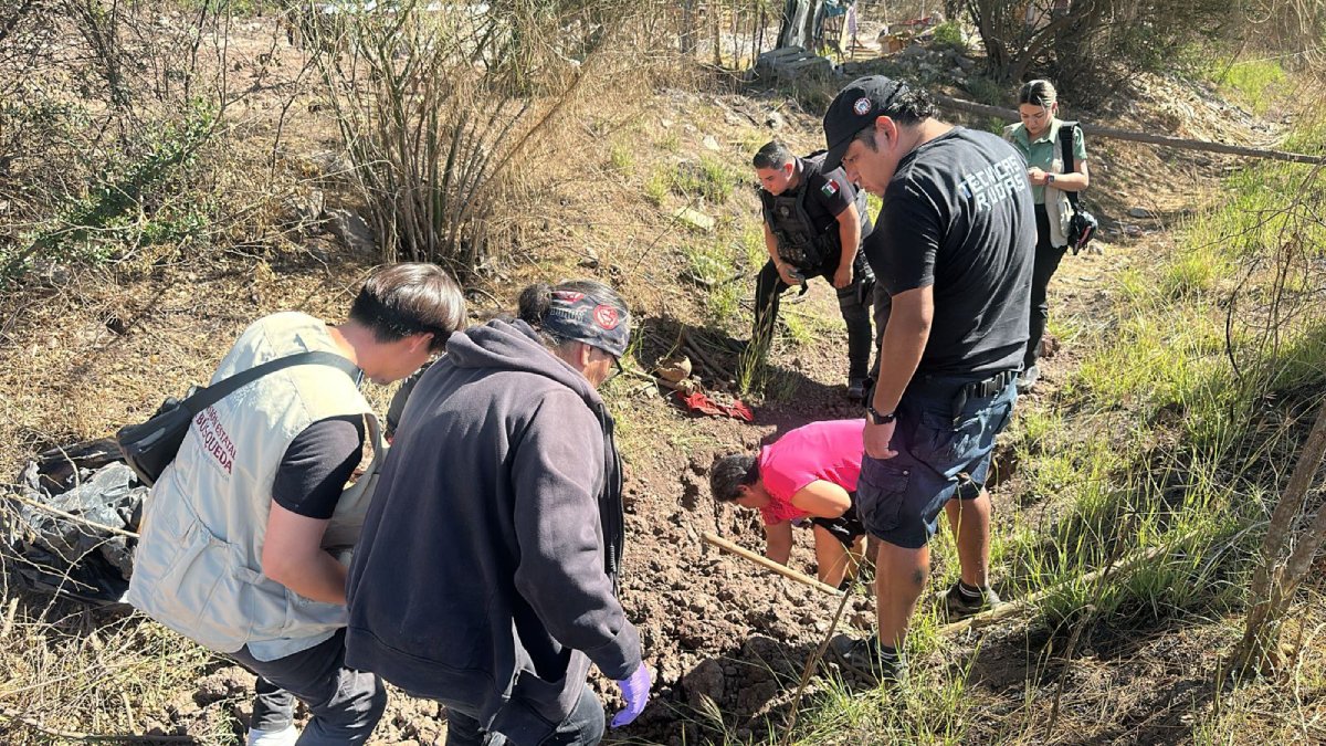 Rastreadoras y Comisión de Búsqueda localizan restos óseos en la colonia Diana Laura de Los Mochis