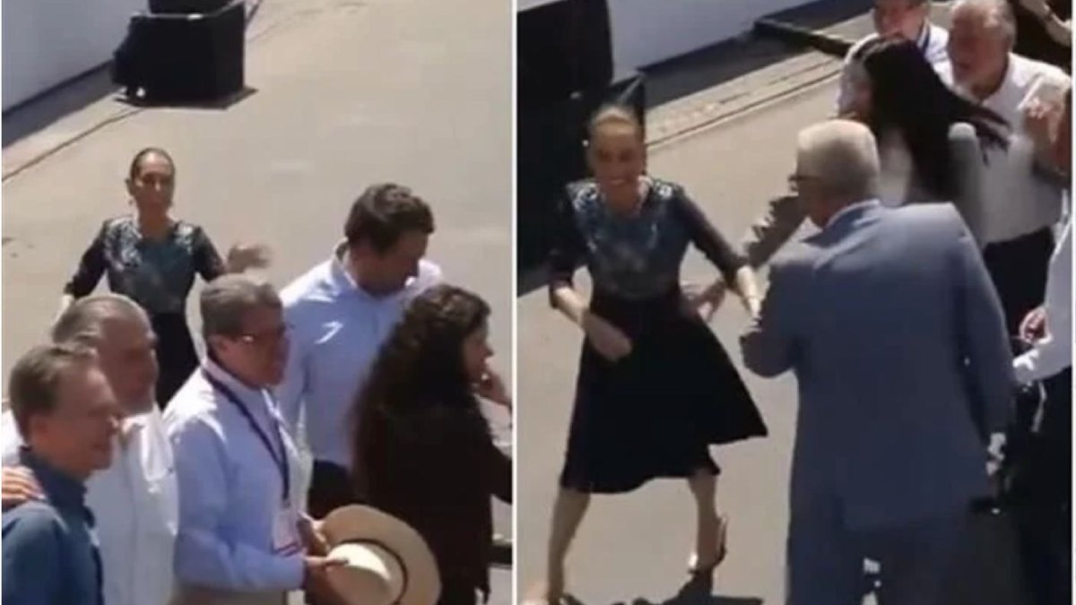 Espalda, bandera y presidenta