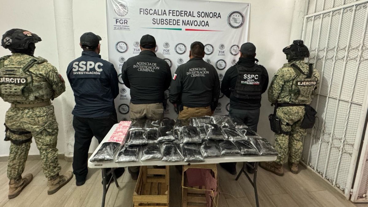Traía 32 kg de fentanilo con valor de 131.3 mdp oculto en nopales y lo detienen en Sonora