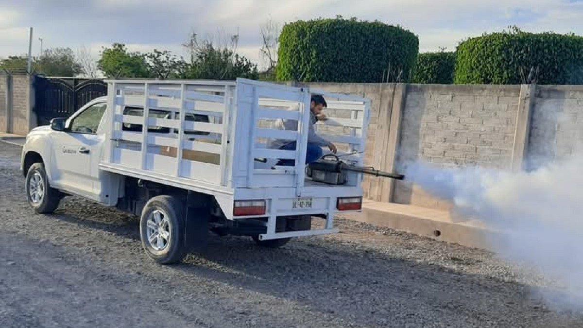 Mazatlán con tendencia a incremento de casos de dengue; continúan arrastrando cifras del 2024
