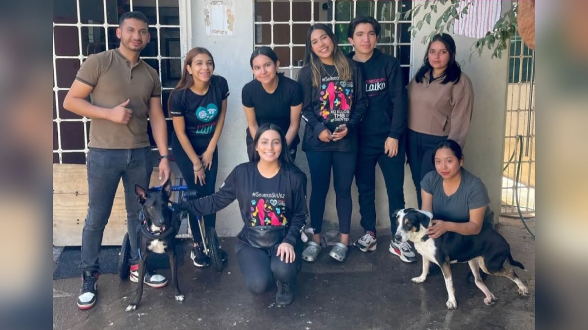 Gobierno del Estado con disposición de apoyar a Fundación Laika: Feliciano